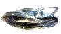 Image of Door Seal (Left, Rear) image for your 2017 Hyundai Sonata   